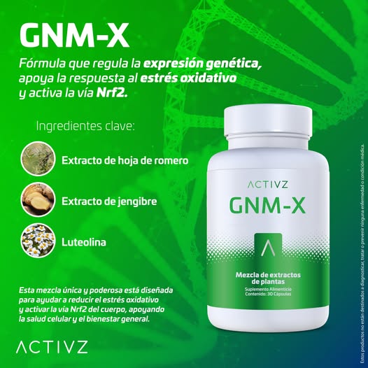 GNM-X